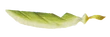 FF4HoL Wind Foil
