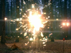 1x1forestOfDeanAnomaly