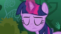 Twilight concentrating S3E05