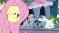 Fluttershy frustrated S3E1