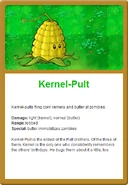 Kernel Online