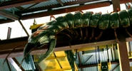 1x2arthropleura2