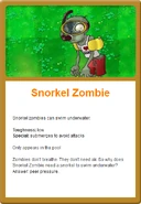 Snorkel Online