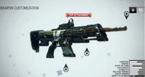 Dsr-1 brink