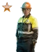 Item craneoperator bronze 01