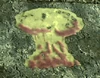 Mushroom Cloud
