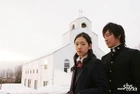 Tree of Heaven6