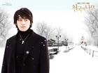Tree of Heaven12