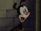 Yakko2