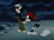 Yakko&wakko