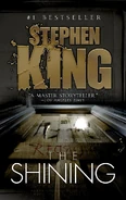 Theshining2011mm