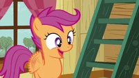 Scootaloo 'Really' S3E06