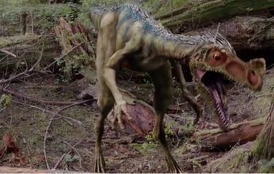 http://images2.wikia.nocookie.net/__cb20121211231404/primeval/images/thumb/6/65/Ornitholestes.jpg/400px-Ornitholestes.jpg