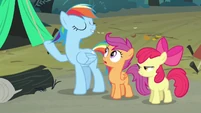 Rainbow Dash imitating Rarity S3E6