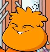 Fat pfe