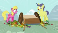 Ponies notice S3E6