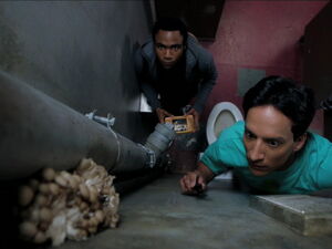 3x04-Troy Abed Mushrooms