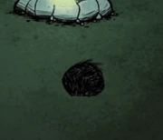 Sleeping Smallbird