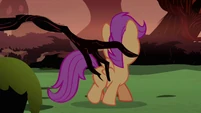 Scootaloo backing up S3E06