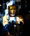 VivXwing.png