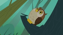 Owl hooting S3E06