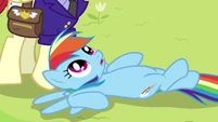 Rainbow looking up at mail pony S3E7