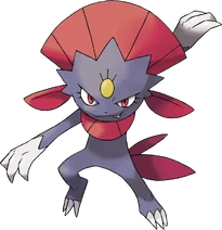 461Weavile