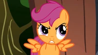 Scootaloo Annoyed S1E18