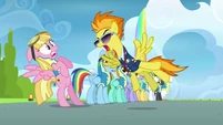 Spitfire shouts at the pink Pegasus S3E07