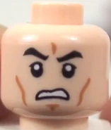 2013 Clone Head