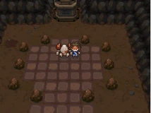 Regirock Blanco 2