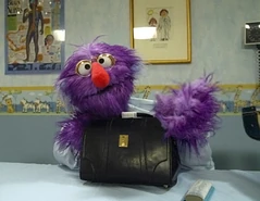 Muppet Doctor
