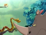 Kaarhino