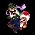 Artworktoadeluigi