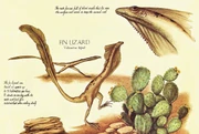 Fin Lizard