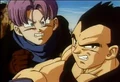 Vegeta and Trunks