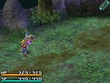 RoF Sage's Staff
