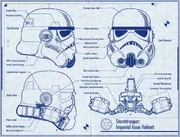 RiddellTKBP
