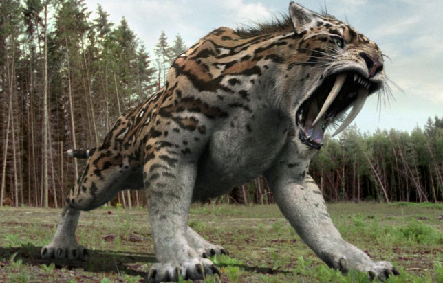 http://images2.wikia.nocookie.net/__cb20121220193805/primeval/images/8/8a/2x3smilodon3.jpg