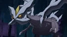 P15 Kyurem anime