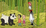 Cat in hat Bamboozled t700