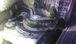 Eden street1