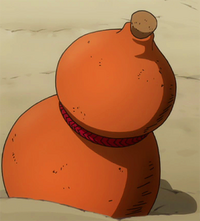 Bacchus' drinking gourd