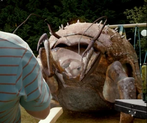 5x1futureBurrower