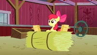 Apple Bloom hearing Granny Smith S3E08