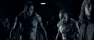 Ptlycan2
