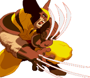 Xsf-wolverine2vs