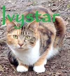 Ivystar