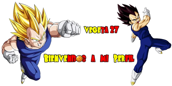 Vegeta 27x1