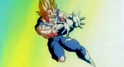 Finalflash